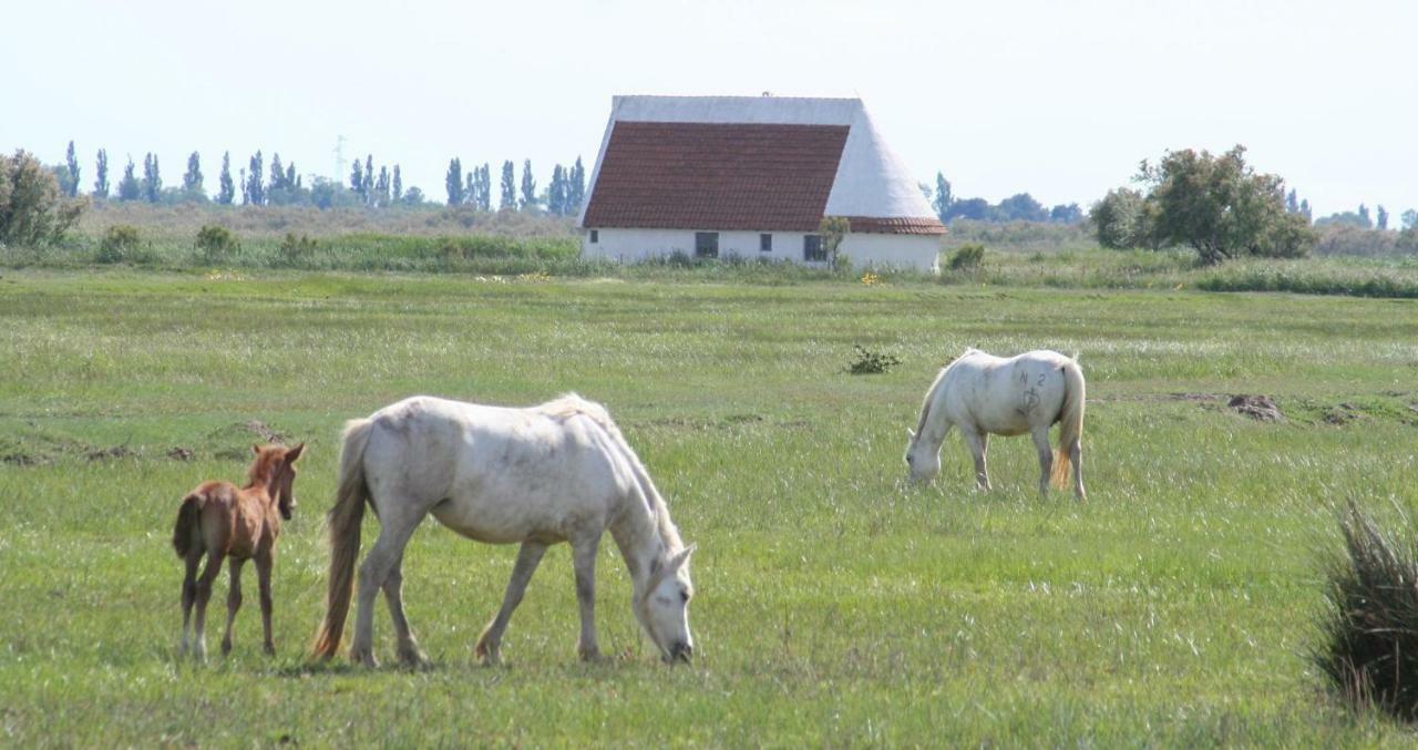 Apartmán Chez Marinette Le Cailar Exteriér fotografie